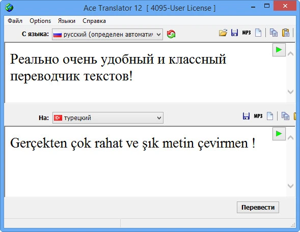 Ace Translator — изображение 1