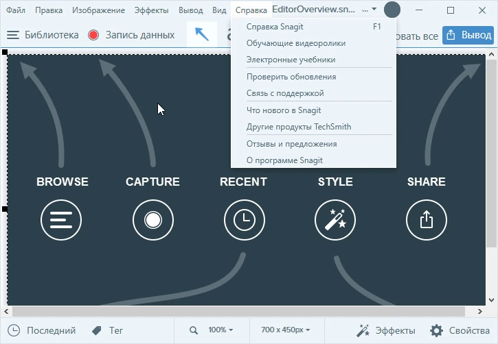 Snagit — изображение 2