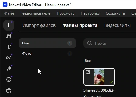 Movavi Video Editor