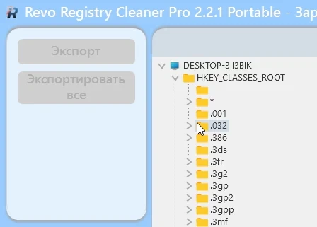 Revo Registry Cleaner